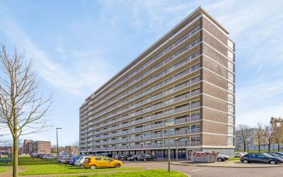 Vlaardinger. 136