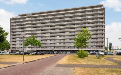 Vlaardinger. 206