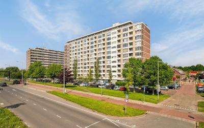 Vlaardinger. 222