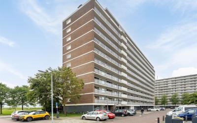 Vlaardinger. 288