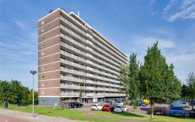 Vlaardinger. 406