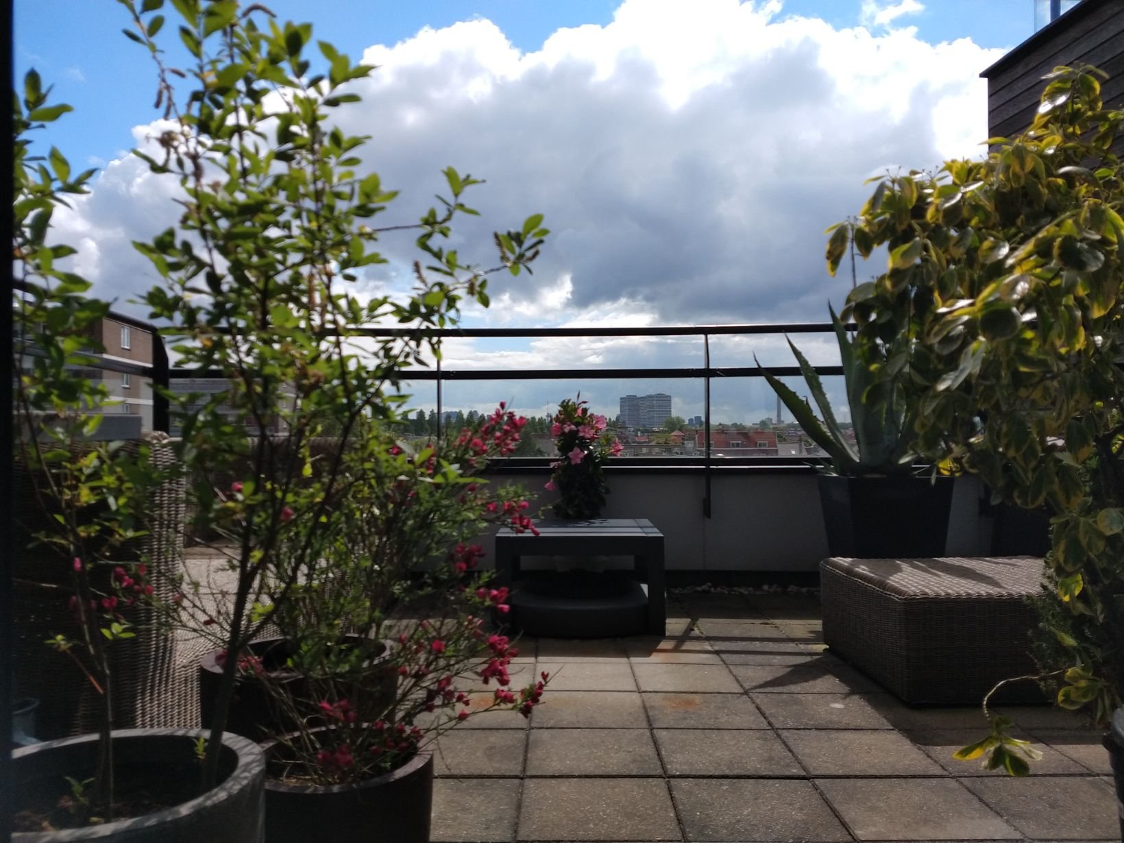 Appartement te koop: Hollandiahof 42, Schiedam