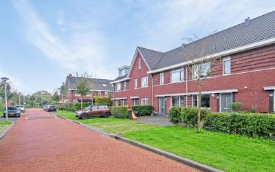 Pieter van. 16