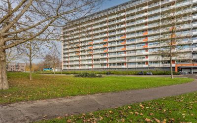 Bachplein 455