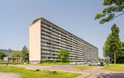 Bachplein 461