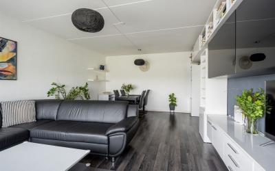 Bachplein 546