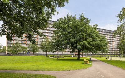 Bachplein 575