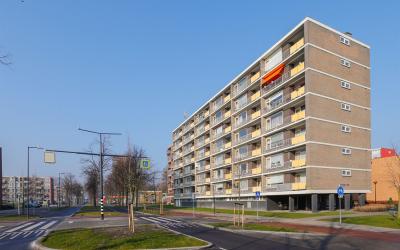 Willem Land. 36