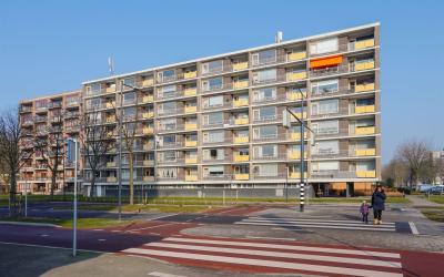 Willem Land. 40