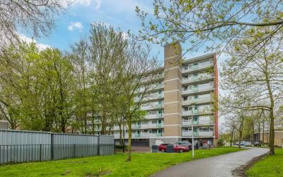 Toon Verhey. 175