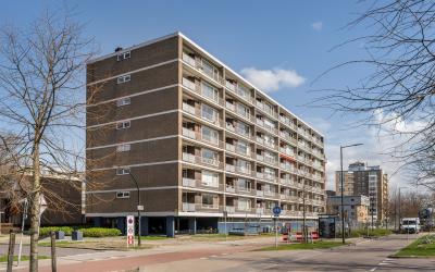 Bernard Zwe. 48