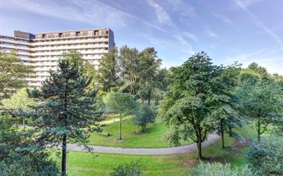 Griegplein 94