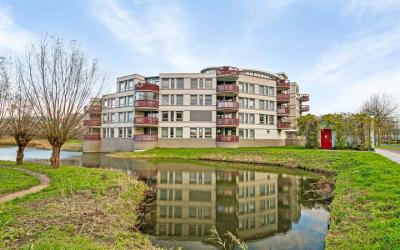 Kamilleveld 42