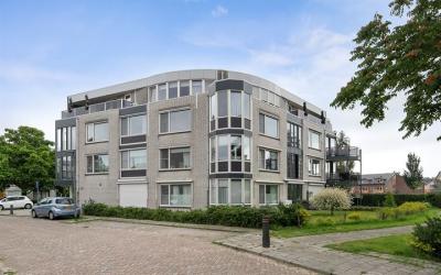 Lavendelveld 64