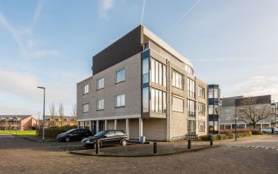 Lavendelveld 88
