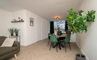 Hoogstraat 231