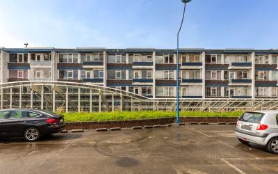 Liesveld 93
