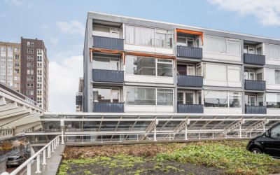 Liesveld 48