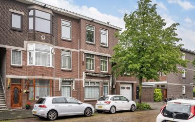 Groen van P. 65