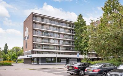 van Baerles. 83