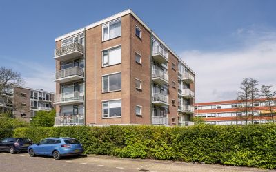 Roemer Viss. 304