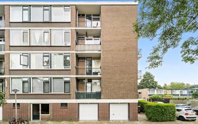 Roemer Viss. 336