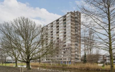 Coornhertstraat 163