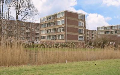 Datheenstra. 233