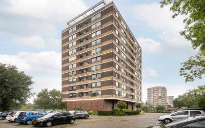 Boerhaavest. 289