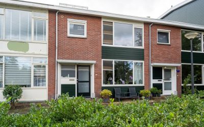 Boerhaavest. 383