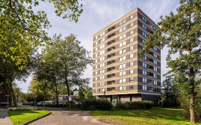 Boerhaavest. 391