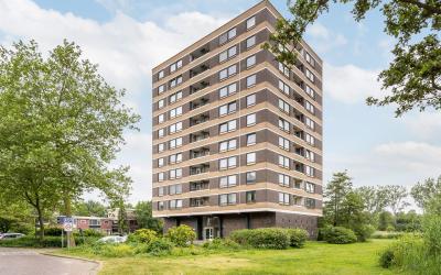 Boerhaavest. 403