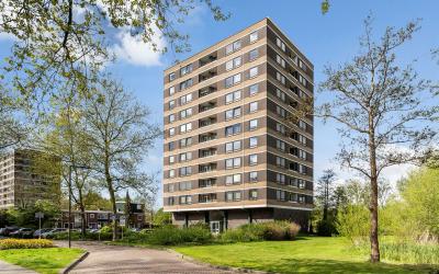 Boerhaavest. 439