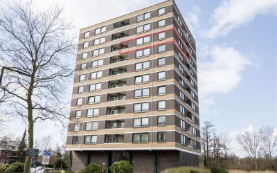 Boerhaavest. 449