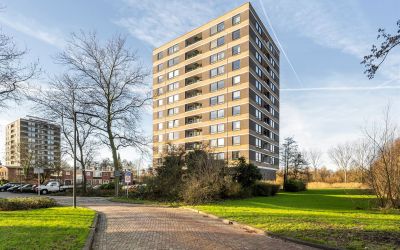Boerhaavestraat 459