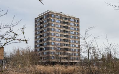 Boerhaavest. 467