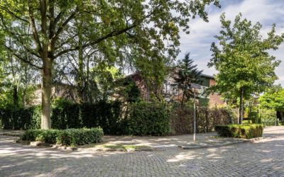 Planciusstr. 36