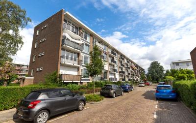 Jan van Ark. 104