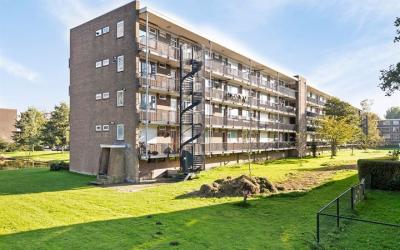 Jan van Ark. 128