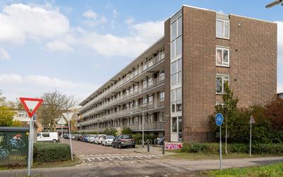 van Hoornbe. 17-D