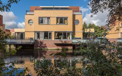 Zilvermeeuw. 16