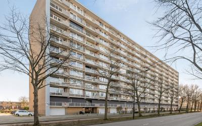 Holysingel 222