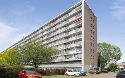 Holysingel 396