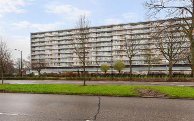 Holysingel 470
