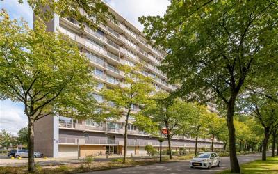 Holysingel 480