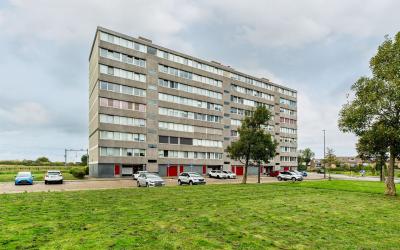 Merellaan 491