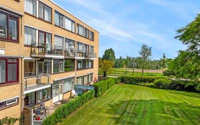 Schollevaar. 86