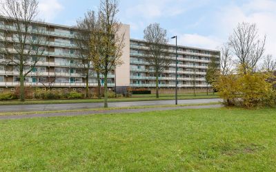Zwaluwstraat 142