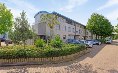 Houtzaagmol. 1