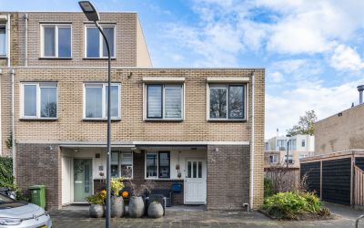 Houtzaagmol. 24